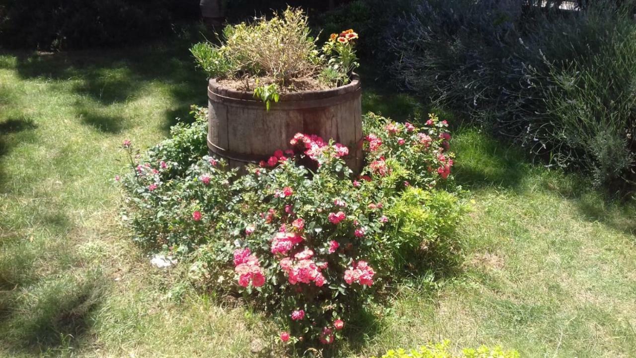Castello delle Forme B&B Casa Losea المظهر الخارجي الصورة
